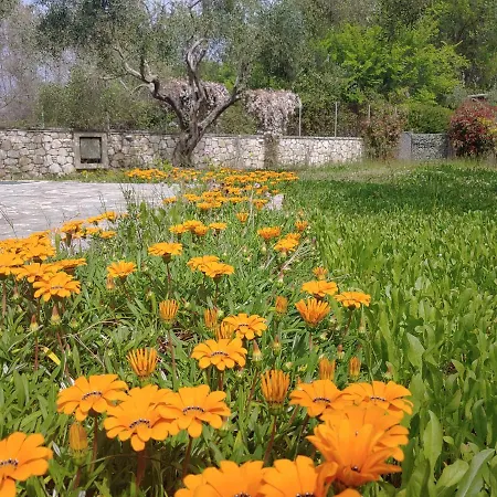 Villa Rosa 1 , , Corfu Dassia (Corfu)